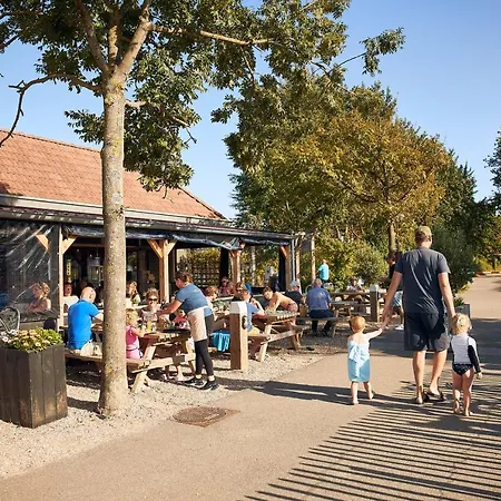 Rcn Toppershoedje 3*